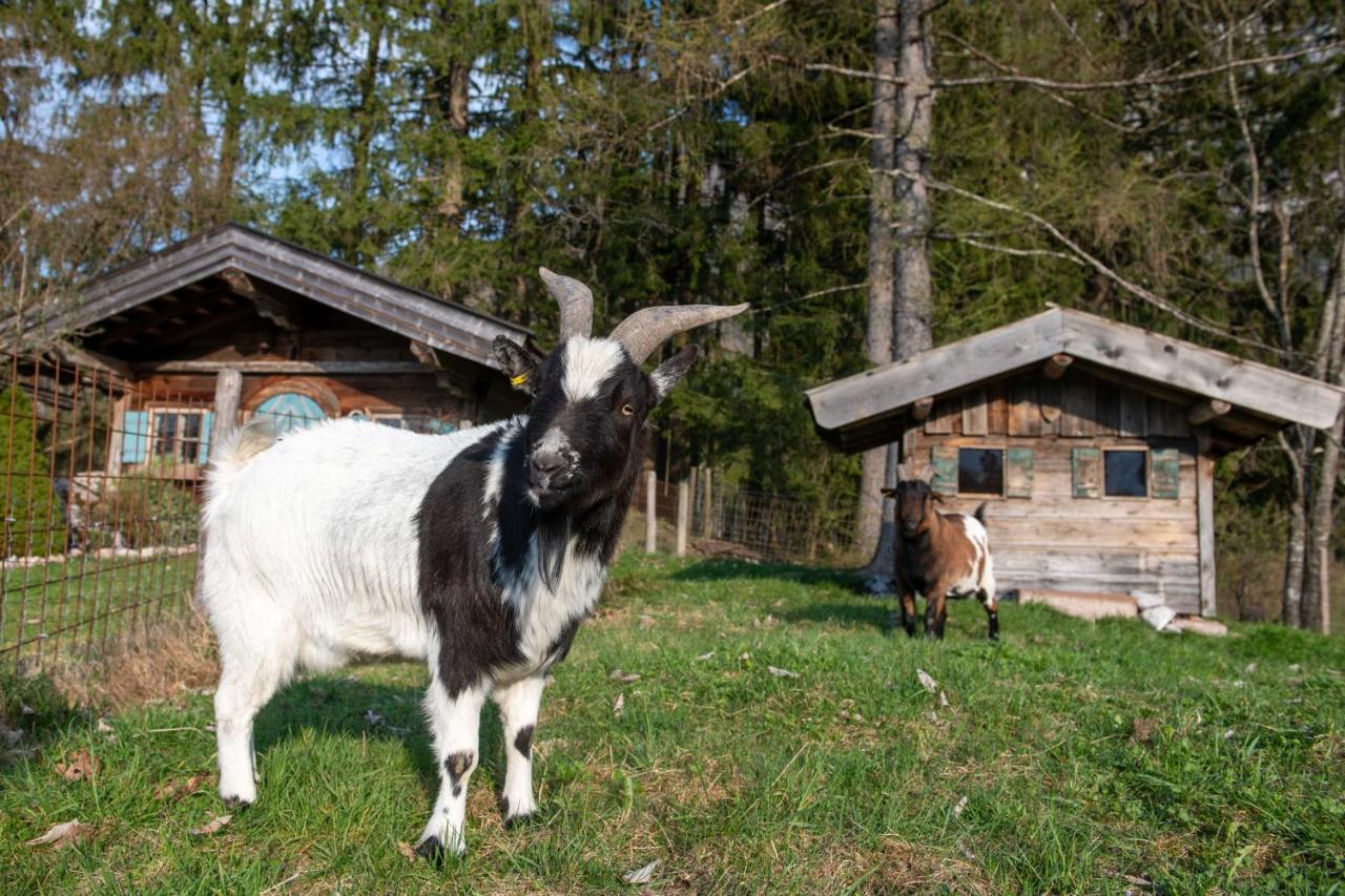 Apartmán Knoglerhof Inkl. Chiemgaukarte Ruhpolding Exteriér fotografie