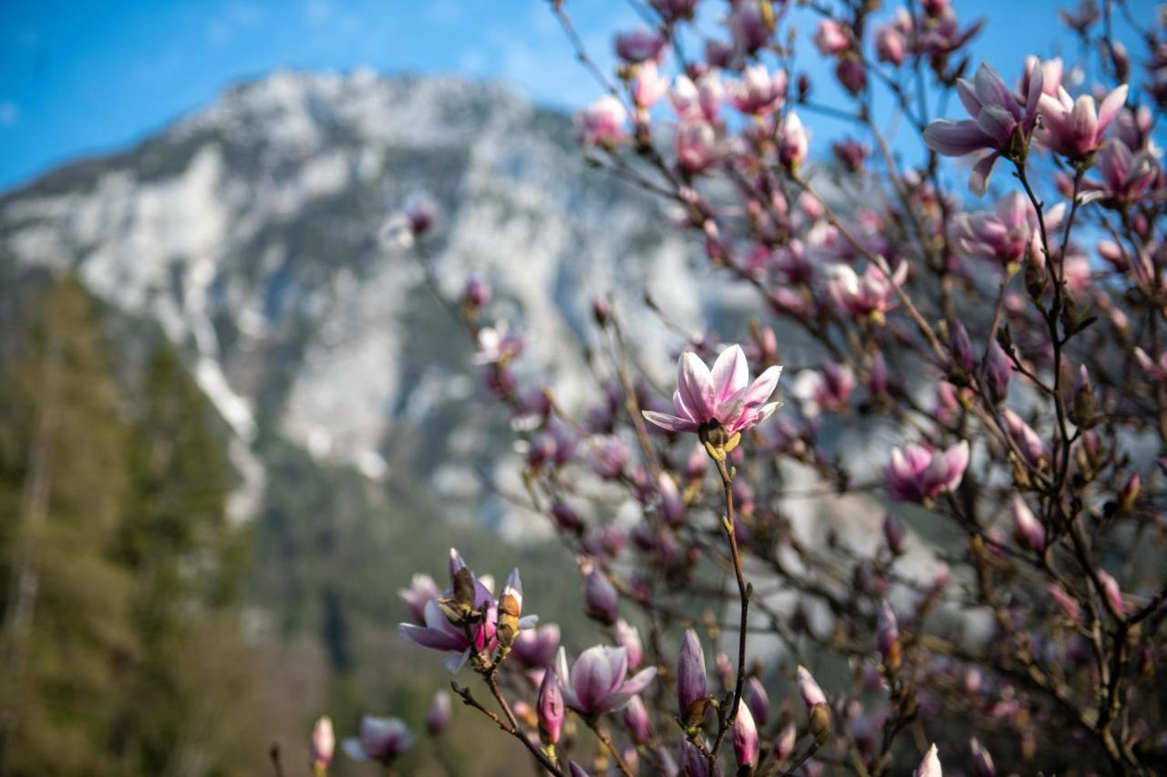 Apartmán Knoglerhof Inkl. Chiemgaukarte Ruhpolding Exteriér fotografie